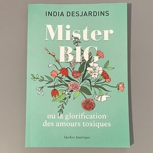 Mister Big by India Desjardins (Book)